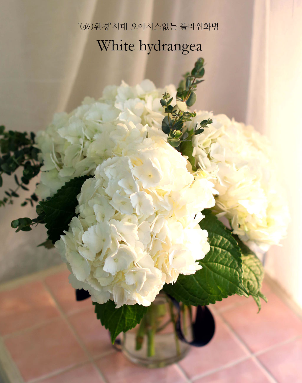 '(ù±)ȯ°æ¡¯½Ã´ë ¿À¾Æ½Ã½º¾ø´Â Çöó¿öȺ´ -White hydrangea ²ÉÁý ²É¹è´Þ