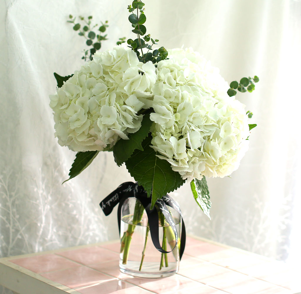 '(ù±)ȯ°æ¡¯½Ã´ë ¿À¾Æ½Ã½º¾ø´Â Çöó¿öȺ´ -White hydrangea ²ÉÁý ²É¹è´Þ