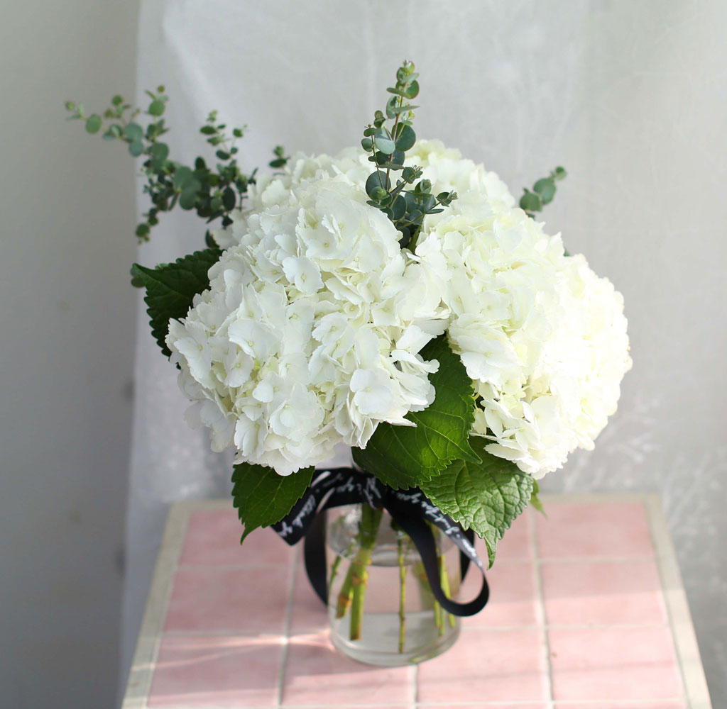 '(ù±)ȯ°æ¡¯½Ã´ë ¿À¾Æ½Ã½º¾ø´Â Çöó¿öȺ´ -White hydrangea ²ÉÁý ²É¹è´Þ
