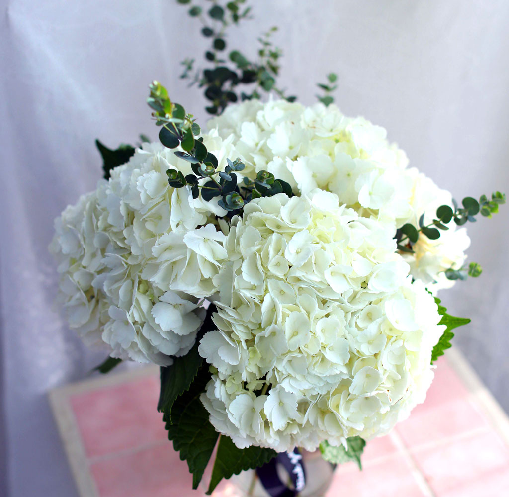 '(ù±)ȯ°æ¡¯½Ã´ë ¿À¾Æ½Ã½º¾ø´Â Çöó¿öȺ´ -White hydrangea ²ÉÁý ²É¹è´Þ