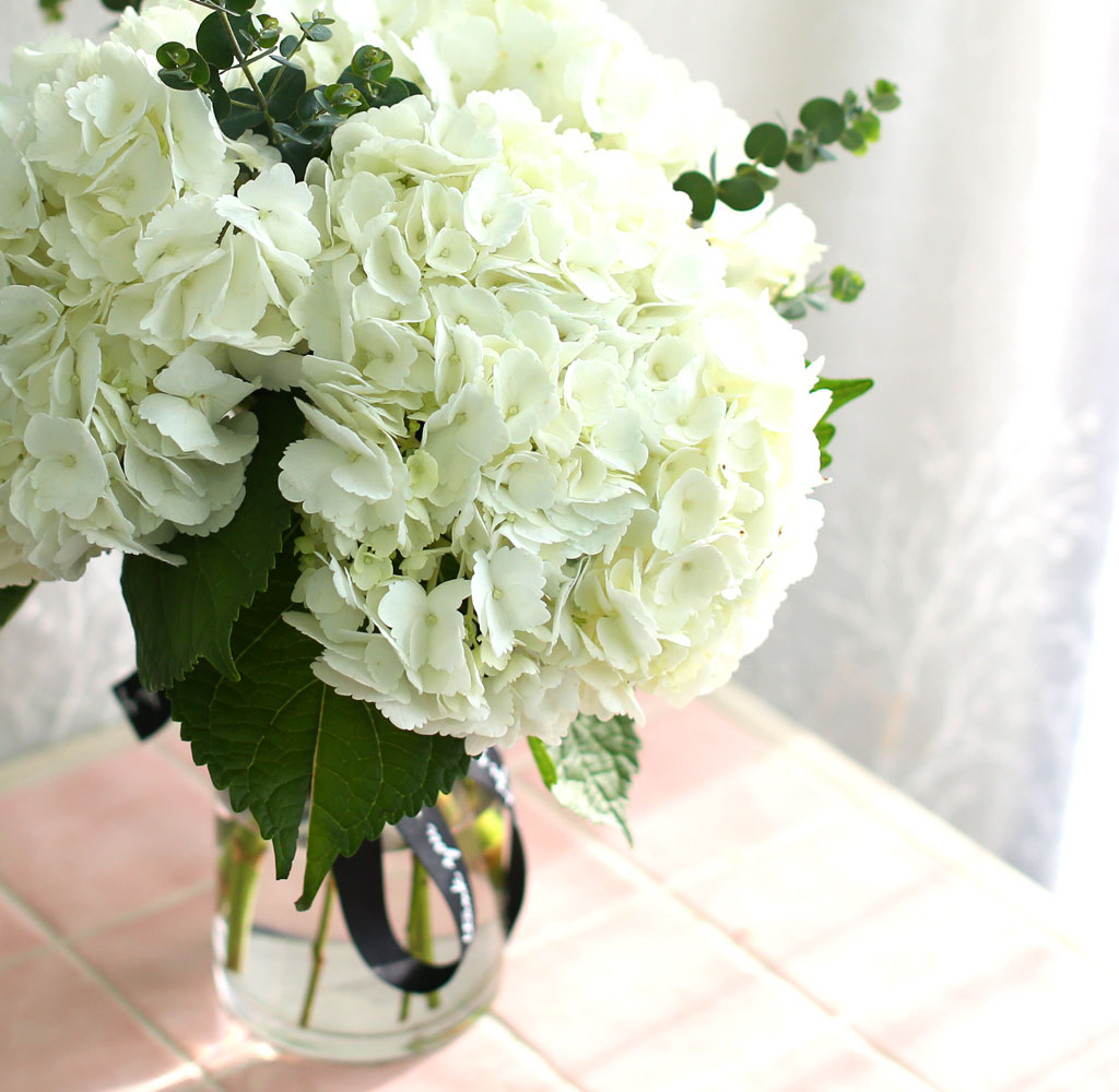'(ù±)ȯ°æ¡¯½Ã´ë ¿À¾Æ½Ã½º¾ø´Â Çöó¿öȺ´ -White hydrangea ²ÉÁý ²É¹è´Þ