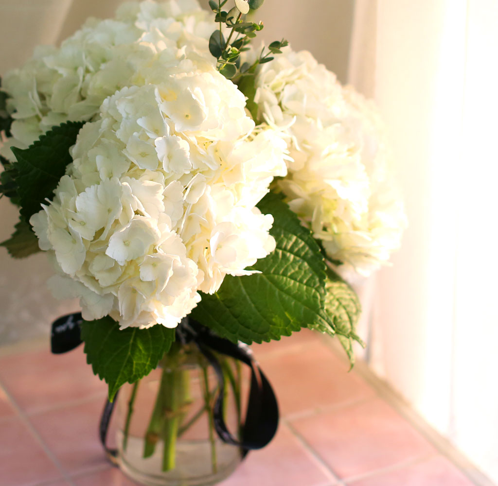 '(ù±)ȯ°æ¡¯½Ã´ë ¿À¾Æ½Ã½º¾ø´Â Çöó¿öȺ´ -White hydrangea ²ÉÁý ²É¹è´Þ