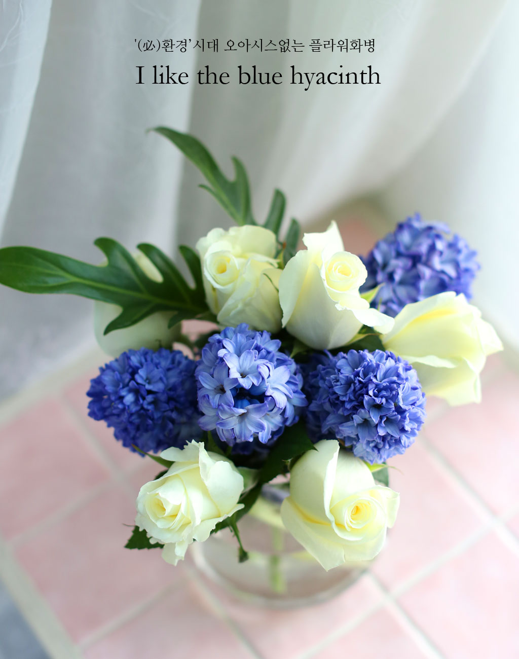 '()ȯ桯ô ƽý öȭ - I like the blue Hyacinth  ɹ