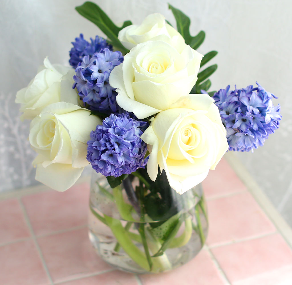 '()ȯ桯ô ƽý öȭ - I like the blue Hyacinth  ɹ