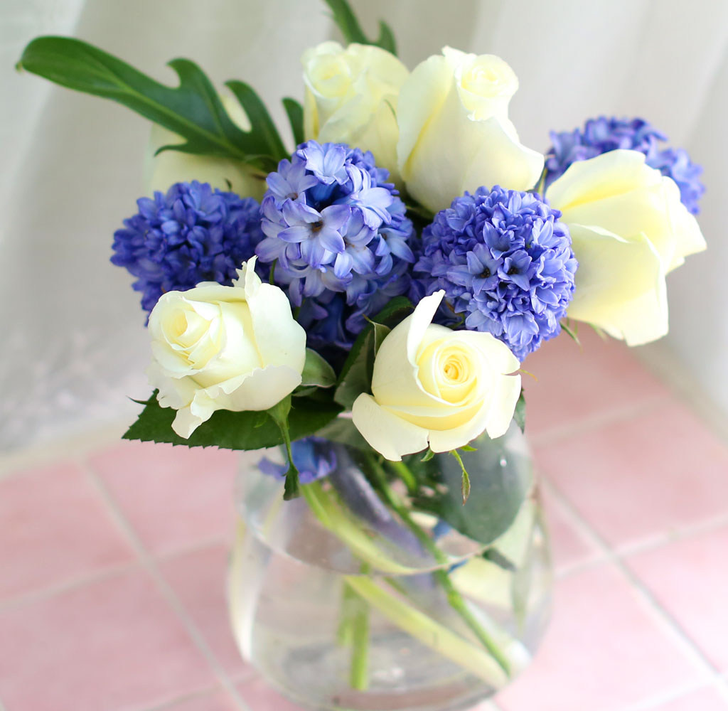'()ȯ桯ô ƽý öȭ - I like the blue Hyacinth  ɹ