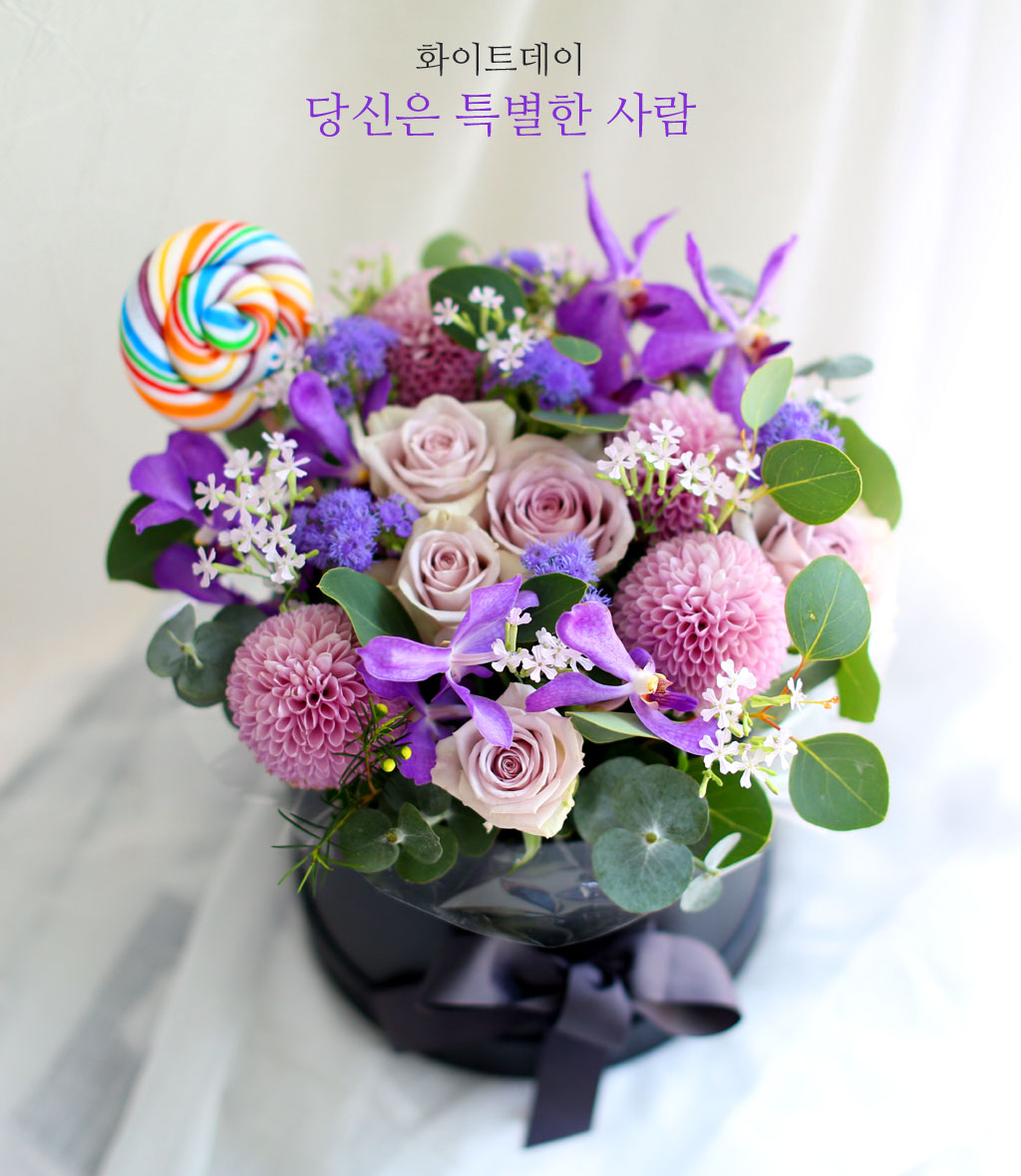 [,]  ȭƮ -  Ư   ɹ