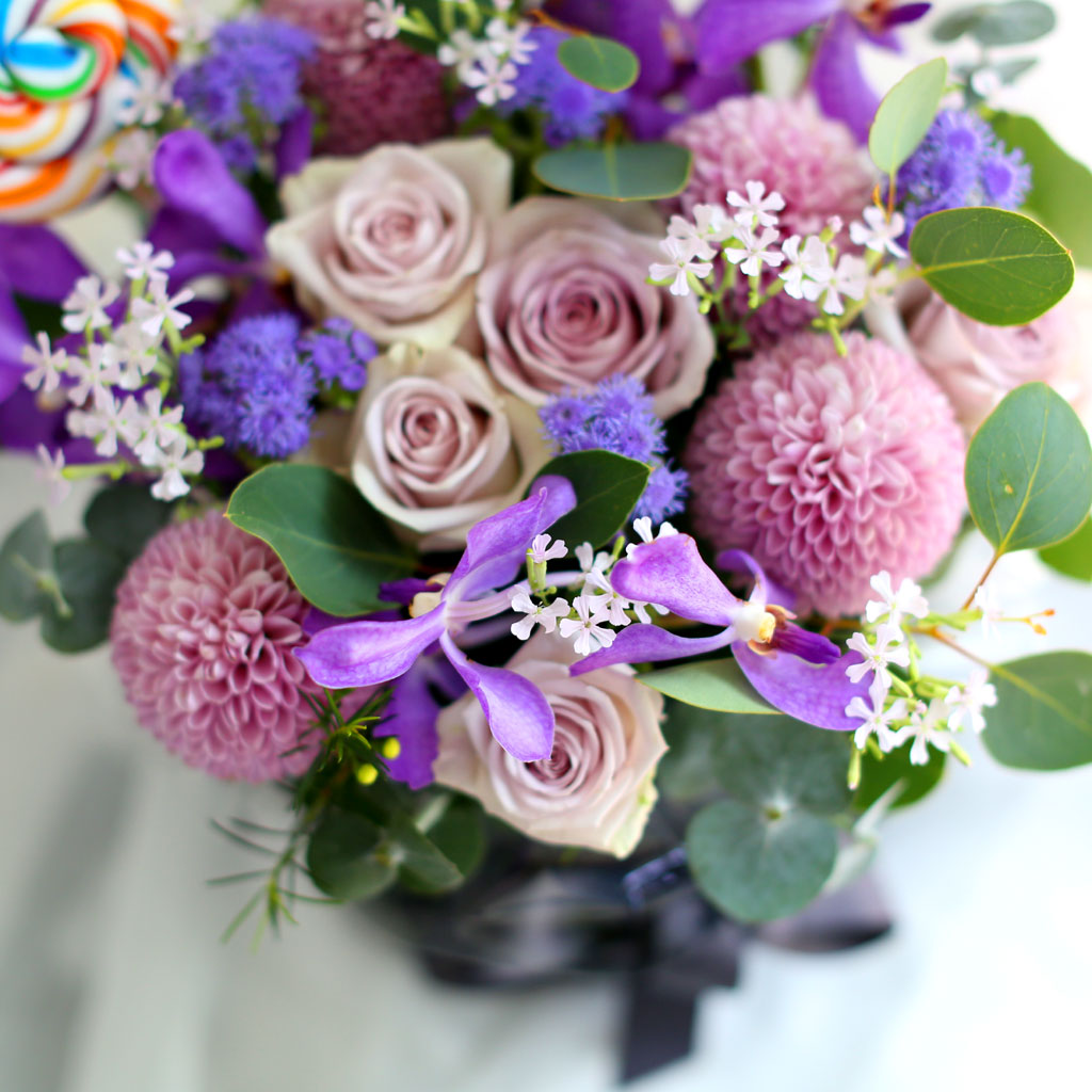 [,]  ȭƮ -  Ư   ɹ