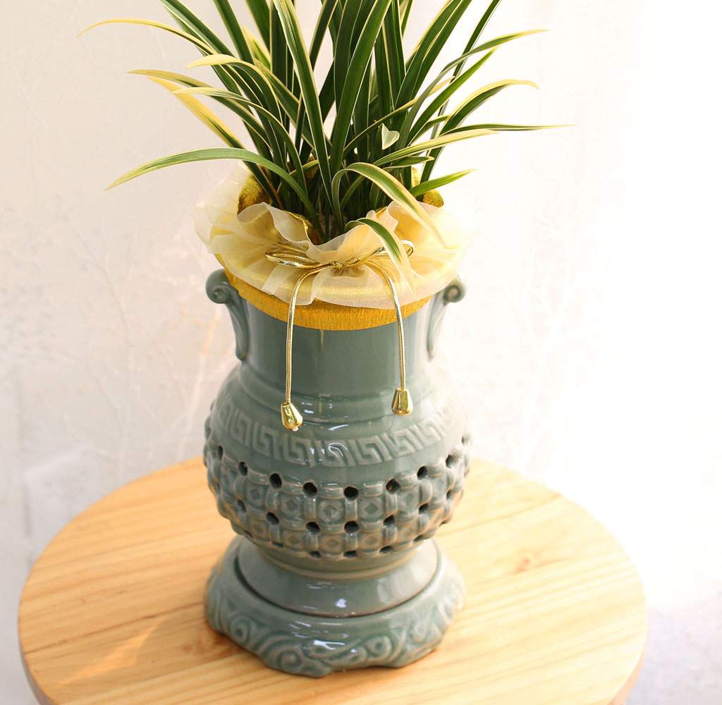 ¼±ÀÌ ¾Æ¸§´Ù¿î Åõ°¢ºÐ µ¿¾ç¶õ - ±ÝȲ