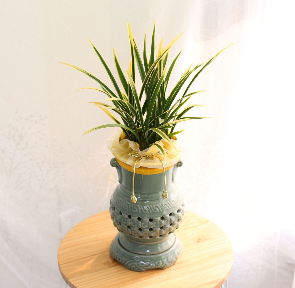 ¼±ÀÌ ¾Æ¸§´Ù¿î Åõ°¢ºÐ µ¿¾ç¶õ - ±ÝȲ