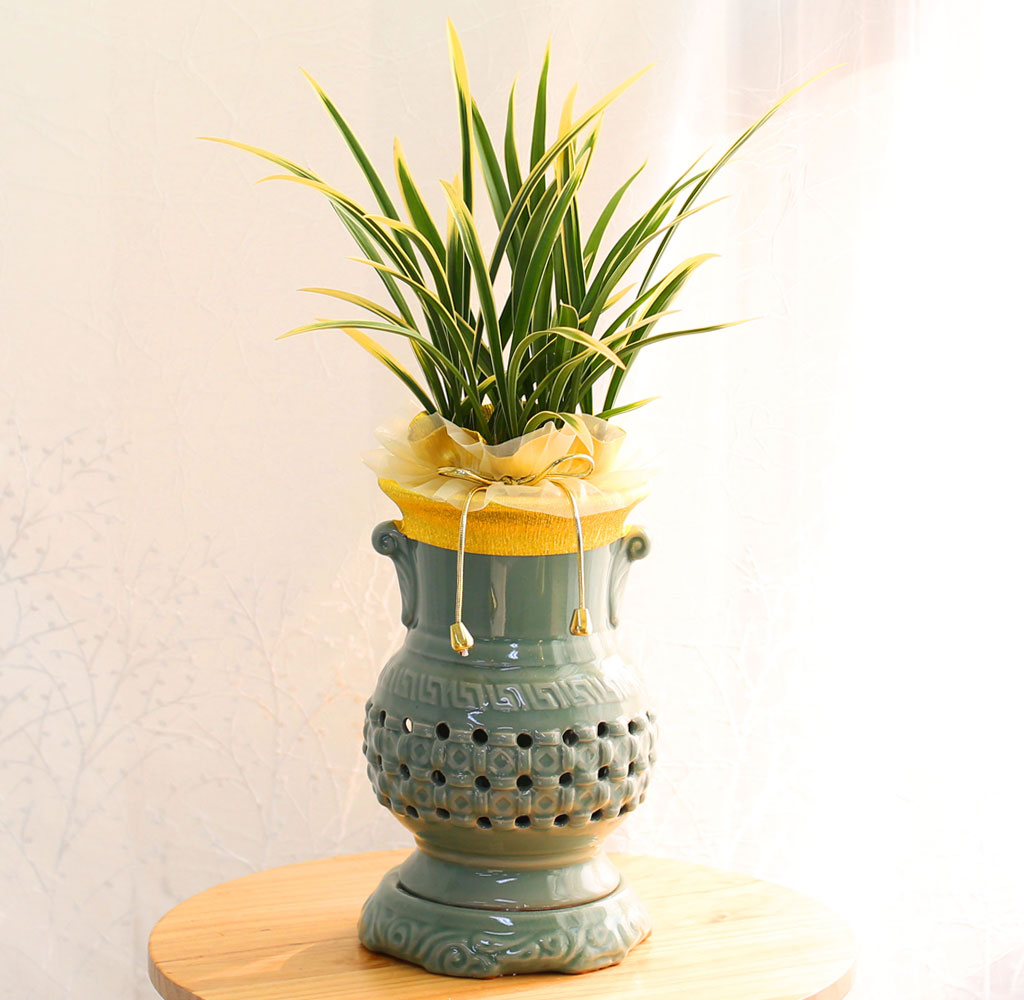 ¼±ÀÌ ¾Æ¸§´Ù¿î Åõ°¢ºÐ µ¿¾ç¶õ - ±ÝȲ