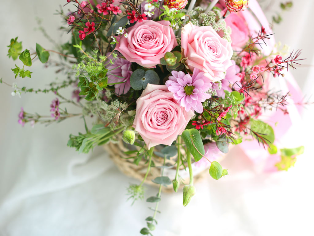 Spring elegance - Roses the pink(ɹٱϿ  )  ɹ