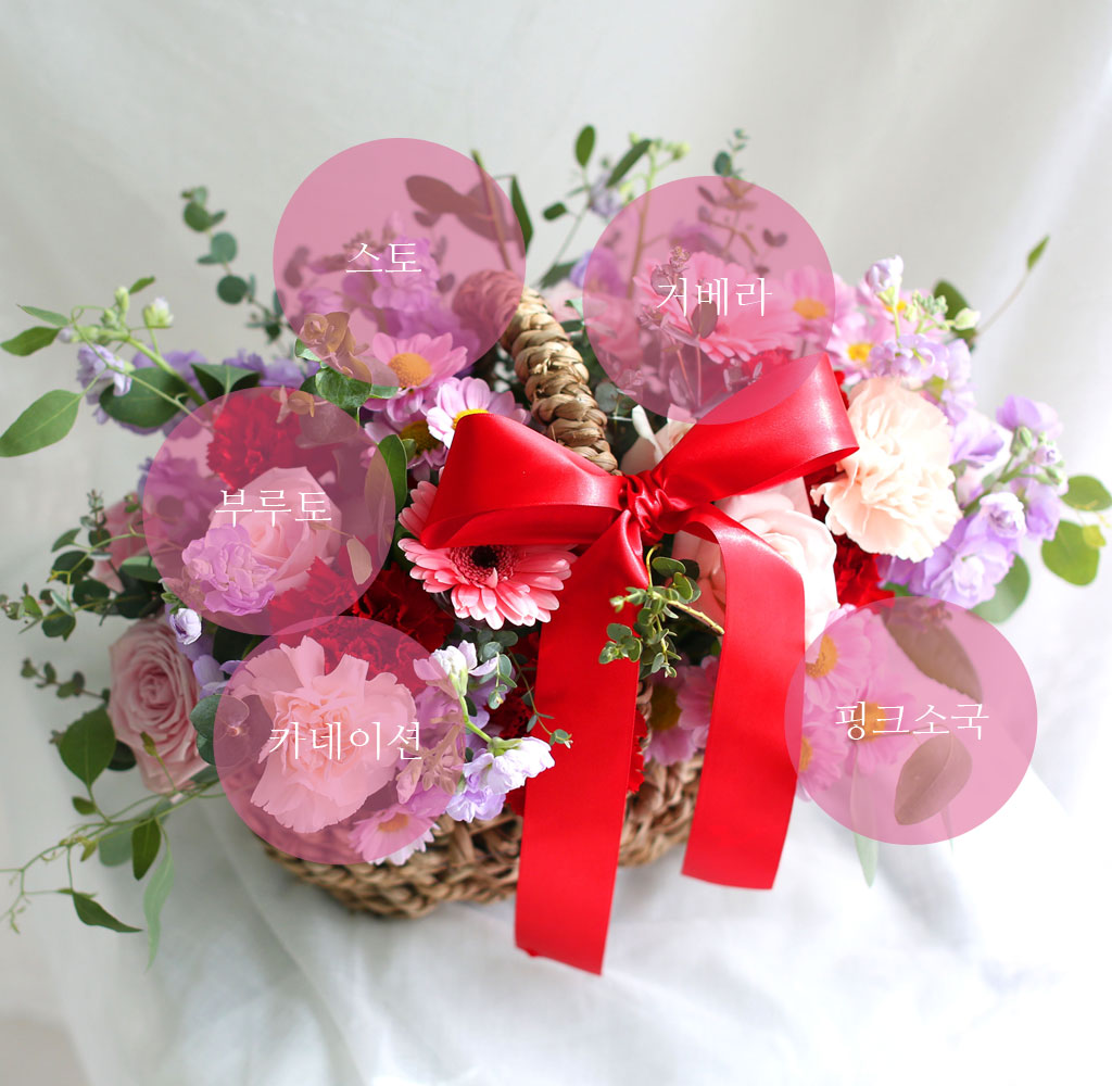 (Àü±¹¹è¼Û) ½º½ÂÀdz¯ - ½º½Â´Ôó·³ ²ÉÁý ²É¹è´Þ