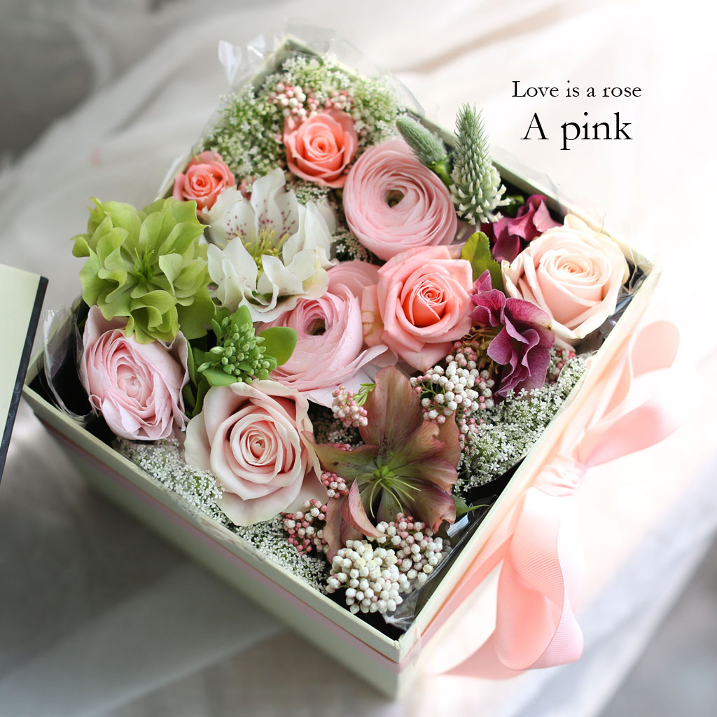 [,]  Love is a rose - A pink