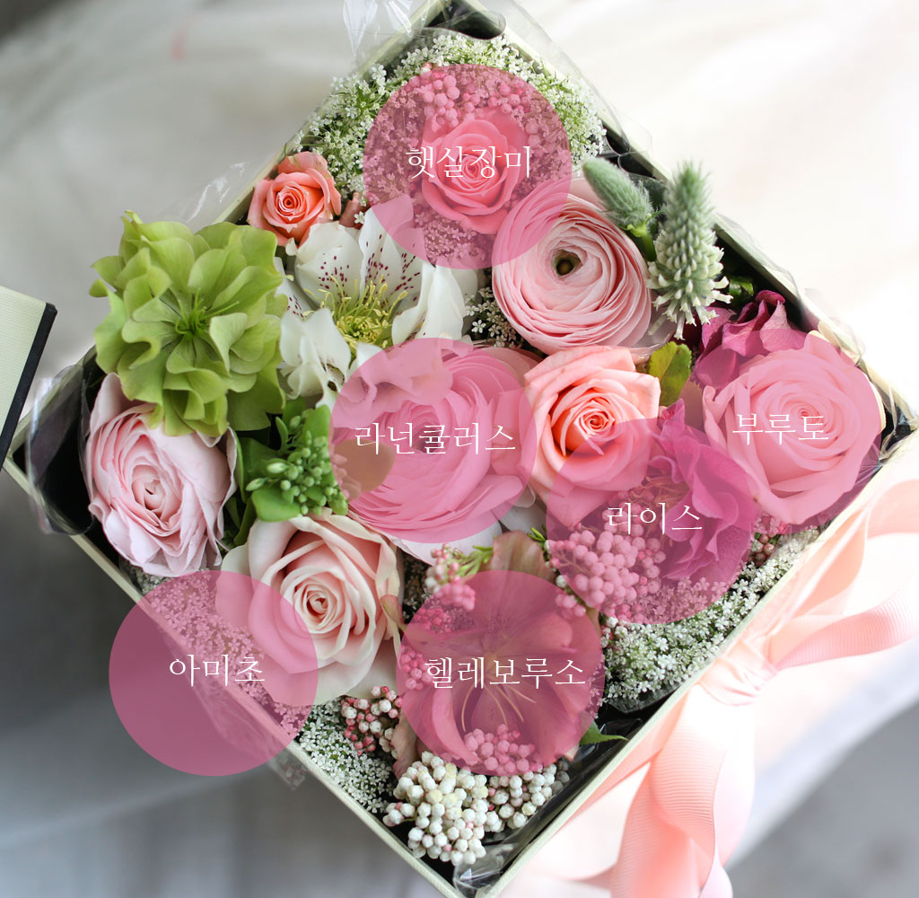 [,]  Love is a rose - A pink