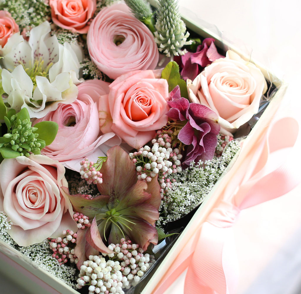 [,]  Love is a rose - A pink