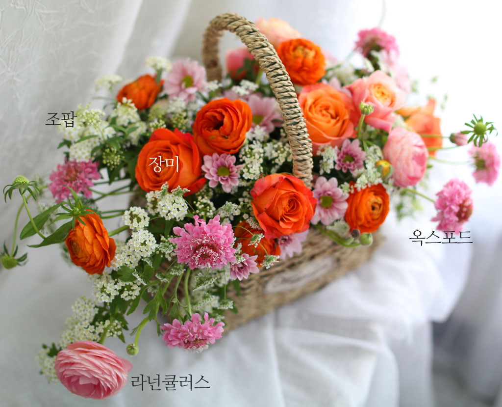 Yes it is �ູ�� �ٱ���