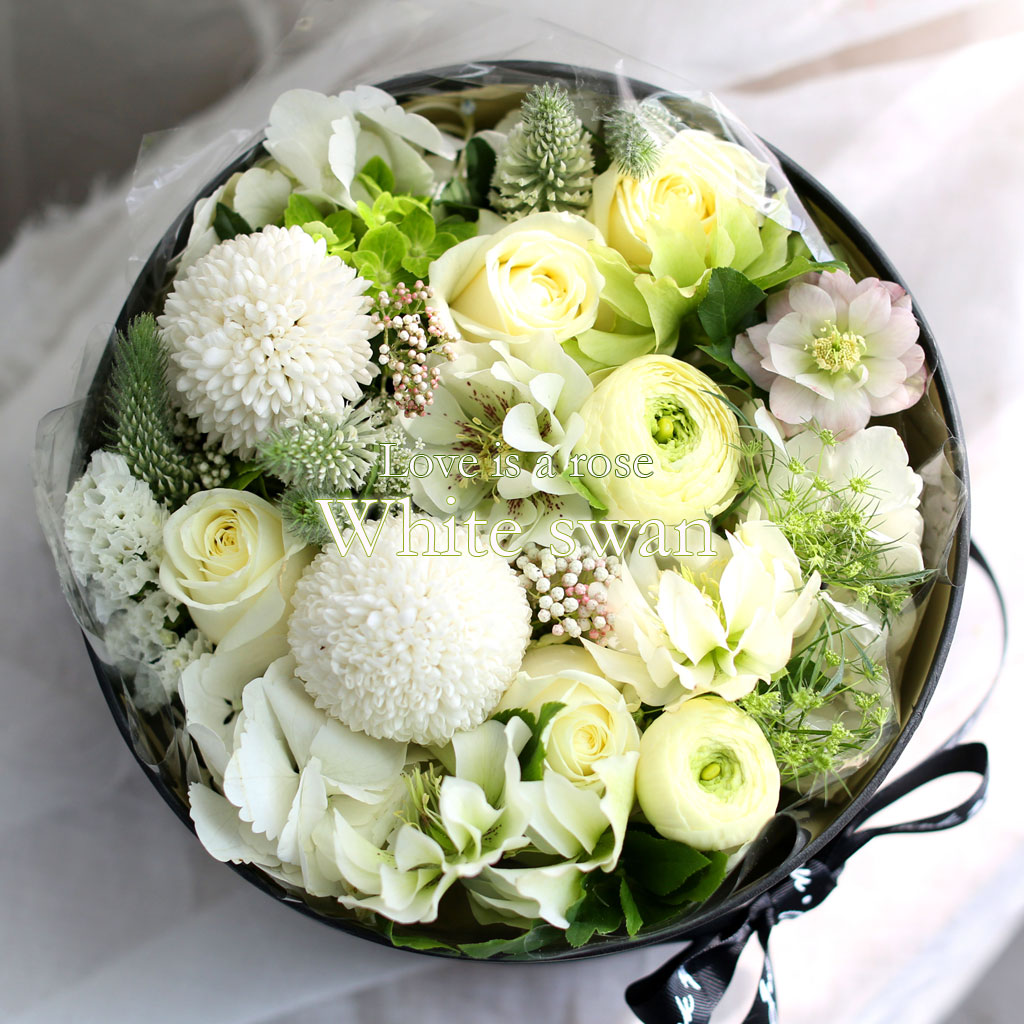 [,] Love is a rose - White swan  ɹ