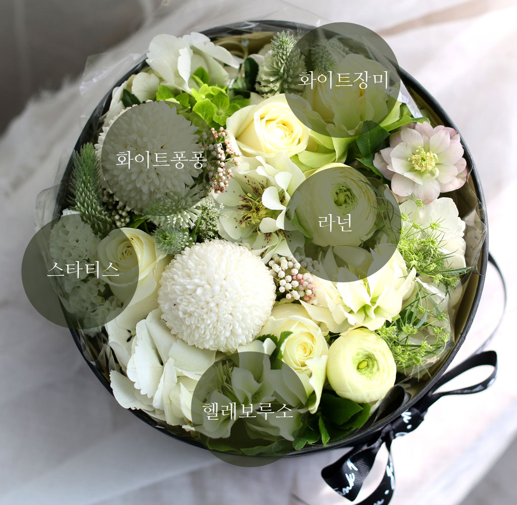 [,] Love is a rose - White swan  ɹ