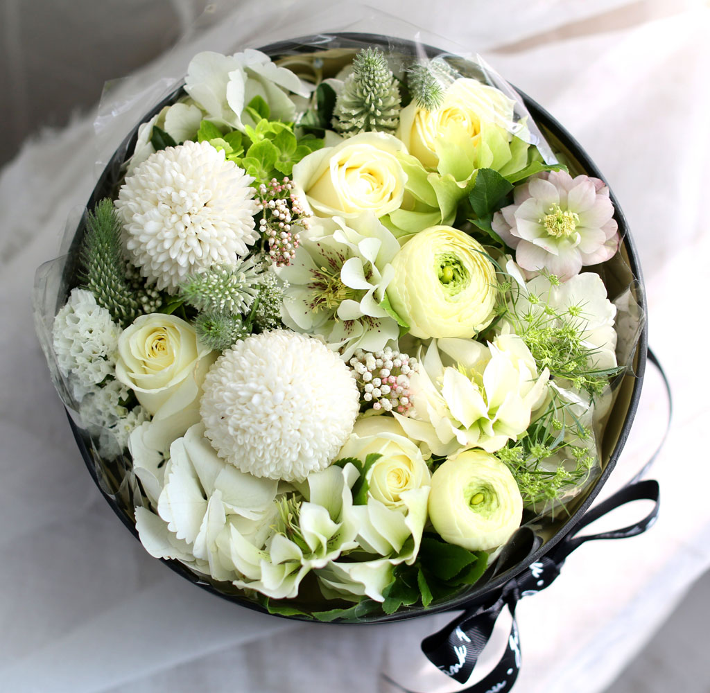 [,] Love is a rose - White swan  ɹ