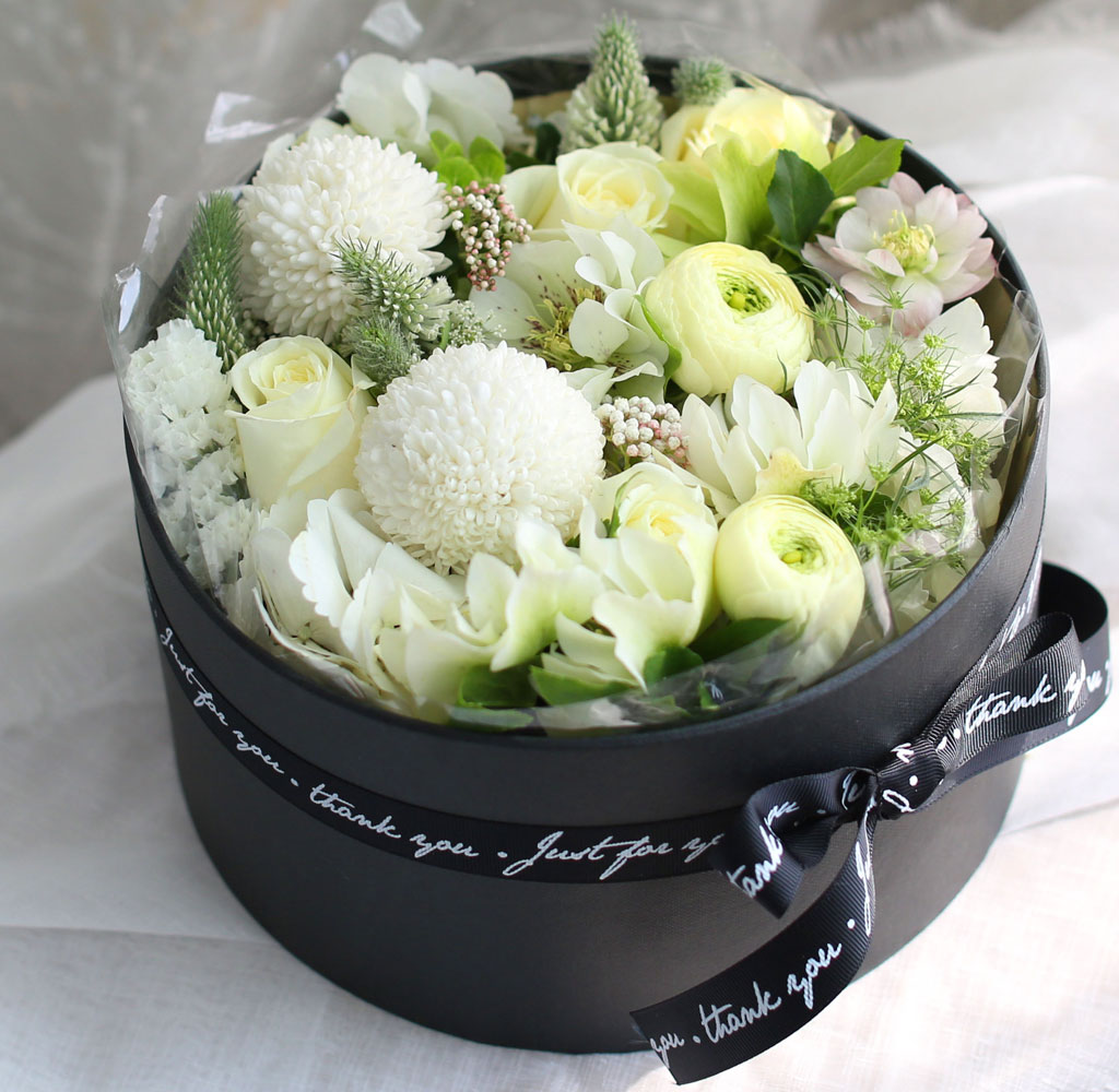 [,] Love is a rose - White swan  ɹ