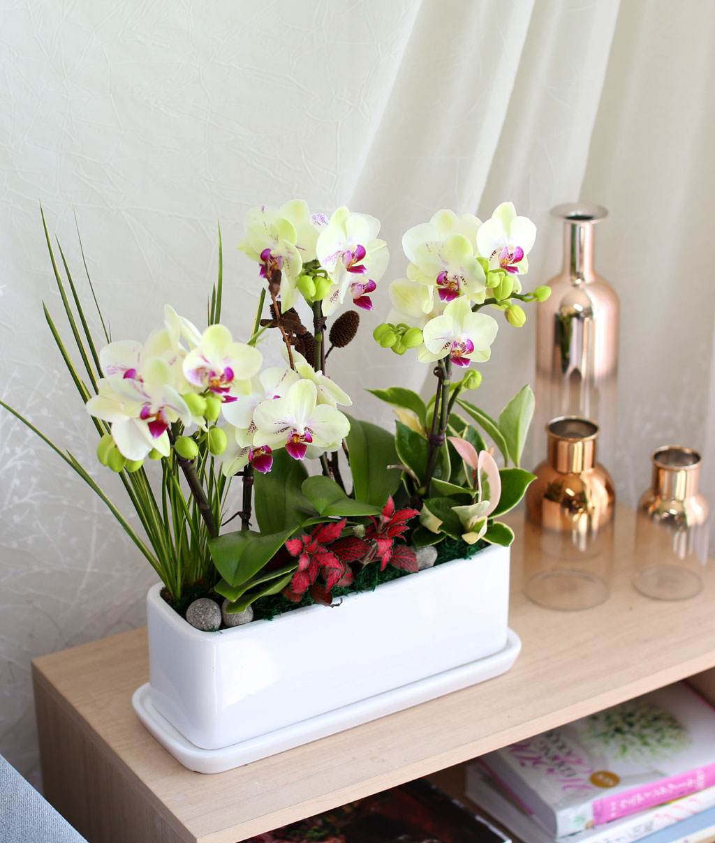 Office & Nature - ½Ì±×·¯¿î ¿¬µÎºû Æ÷Ãá(ȱ⺯°æ)