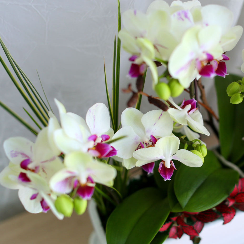 Office & Nature - ½Ì±×·¯¿î ¿¬µÎºû Æ÷Ãá(ȱ⺯°æ)