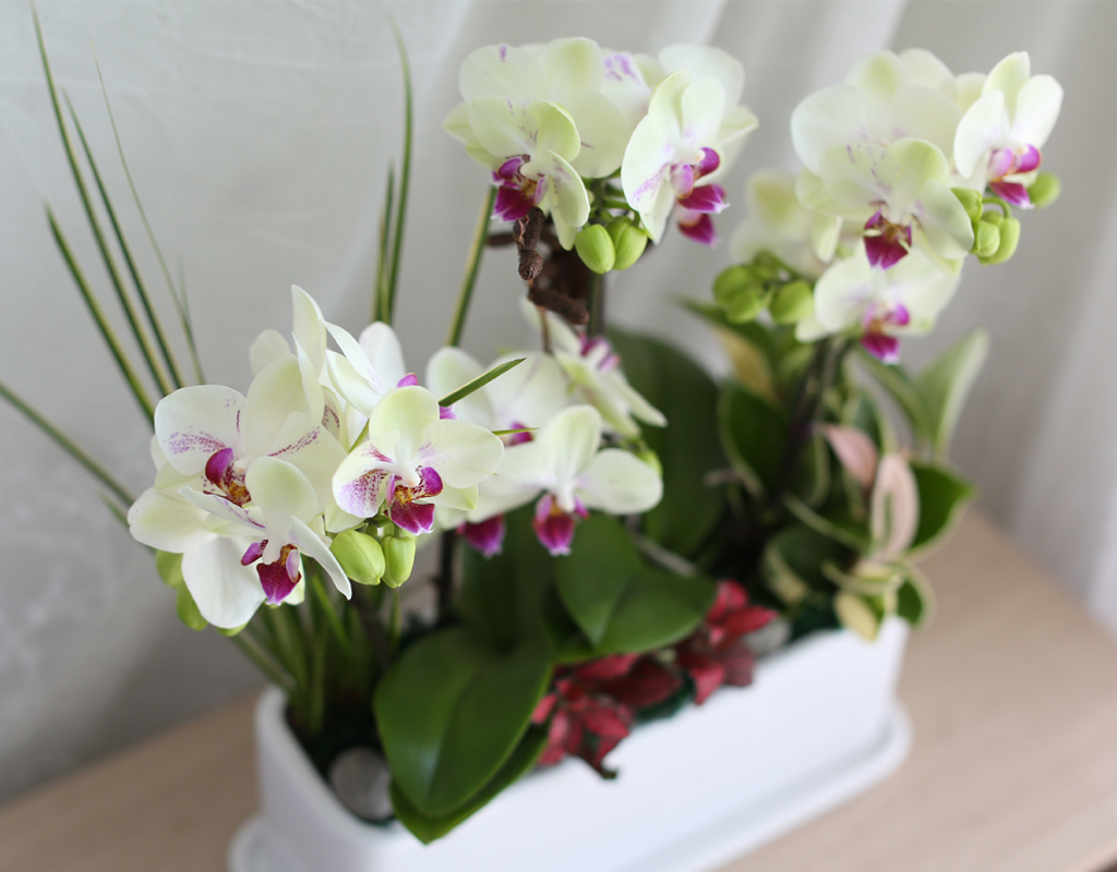 Office & Nature - ½Ì±×·¯¿î ¿¬µÎºû Æ÷Ãá(ȱ⺯°æ)