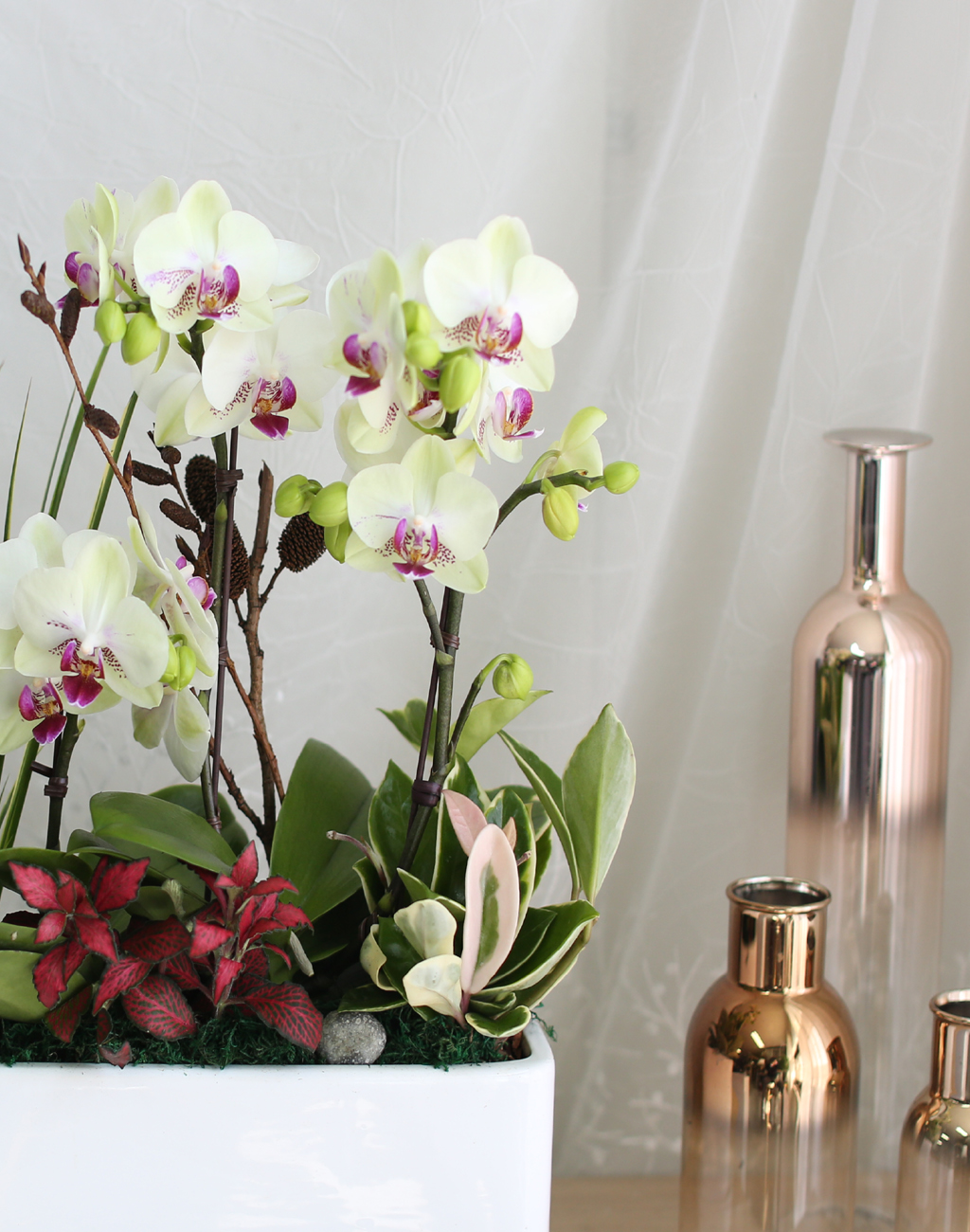 Office & Nature - ½Ì±×·¯¿î ¿¬µÎºû Æ÷Ãá(ȱ⺯°æ)