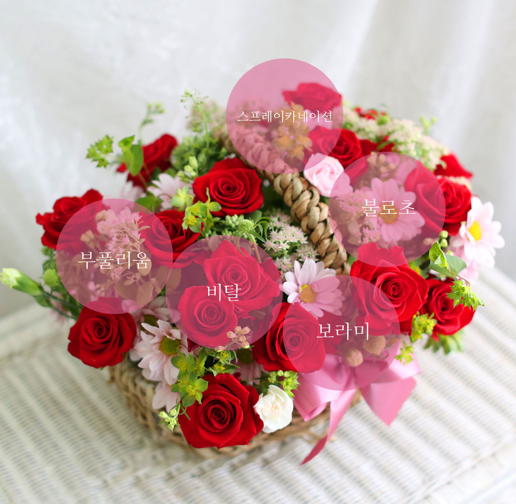 󷣵(La La Land)  ɹ