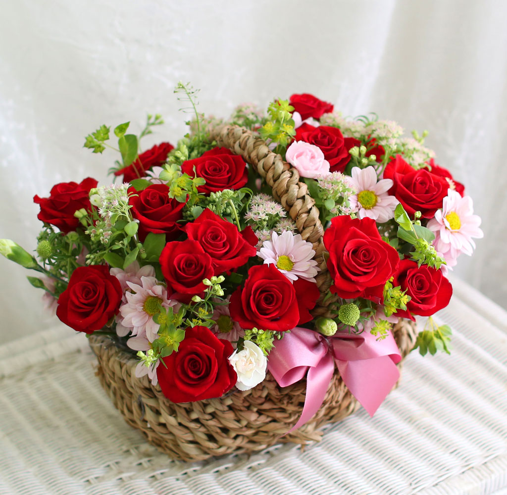 󷣵(La La Land)  ɹ