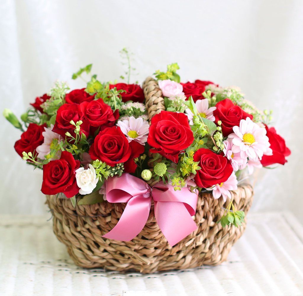 󷣵(La La Land)  ɹ