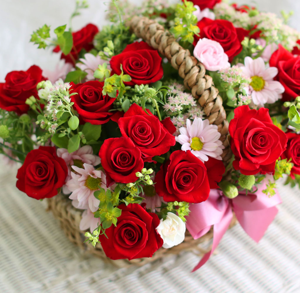 󷣵(La La Land)  ɹ