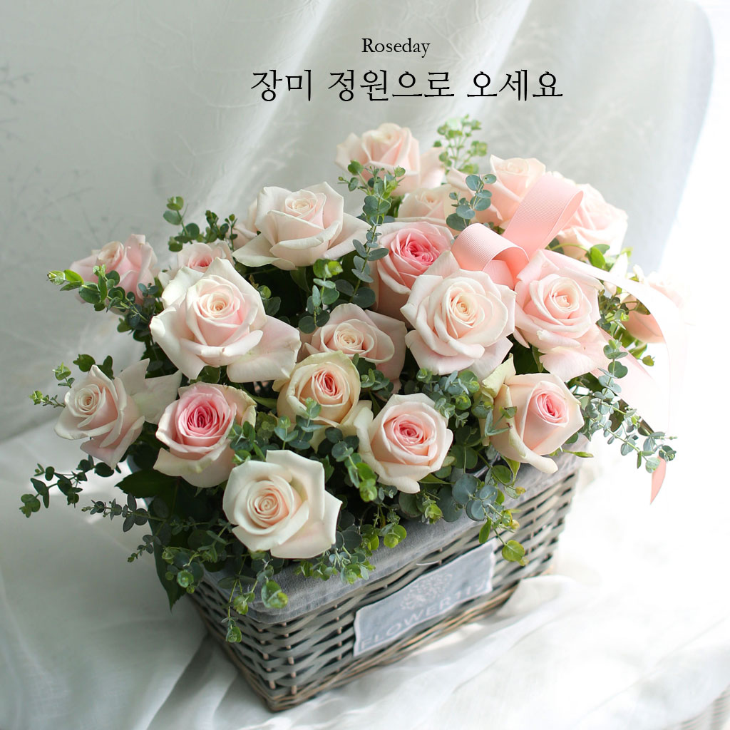 {¼¿ï±¤¿ª½Ã}Roseday - Àå¹ÌÁ¤¿øÀ¸·Î ¿À¼¼¿ä