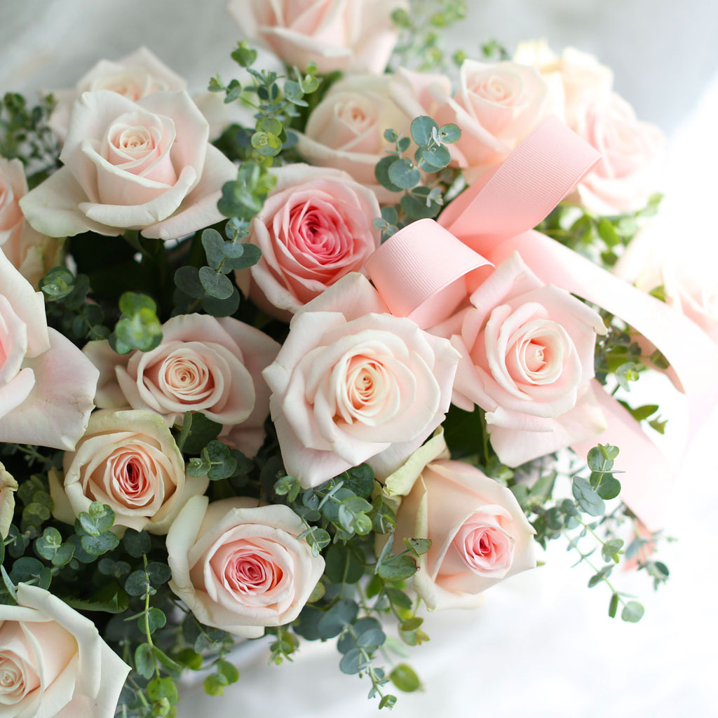 {¼¿ï±¤¿ª½Ã}Roseday - Àå¹ÌÁ¤¿øÀ¸·Î ¿À¼¼¿ä