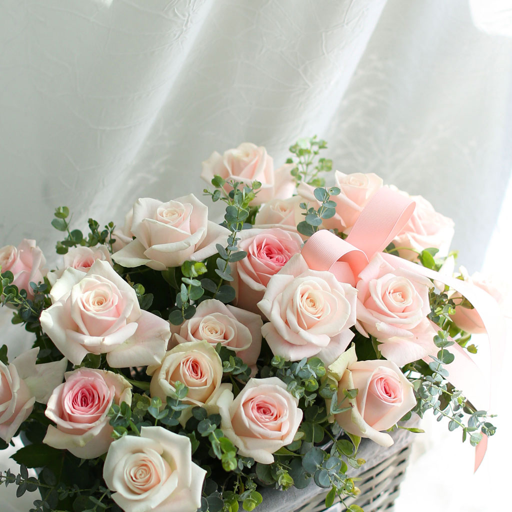 {¼¿ï±¤¿ª½Ã}Roseday - Àå¹ÌÁ¤¿øÀ¸·Î ¿À¼¼¿ä