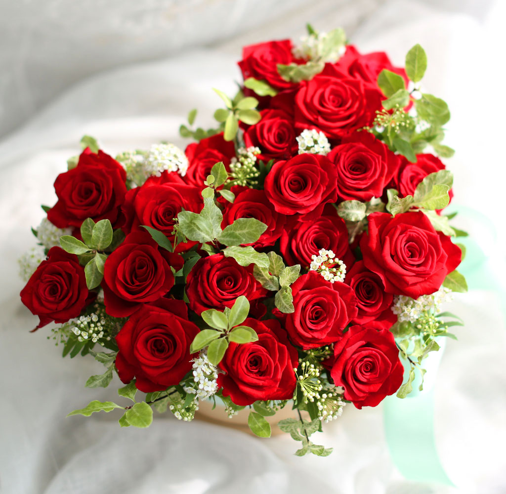 Roseday - ³» »ç¶ûÀ» ¹Þ¾ÆÁÖ¼¼¿ä