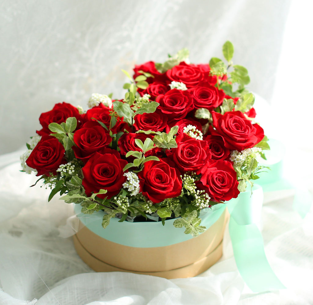 Roseday - ³» »ç¶ûÀ» ¹Þ¾ÆÁÖ¼¼¿ä