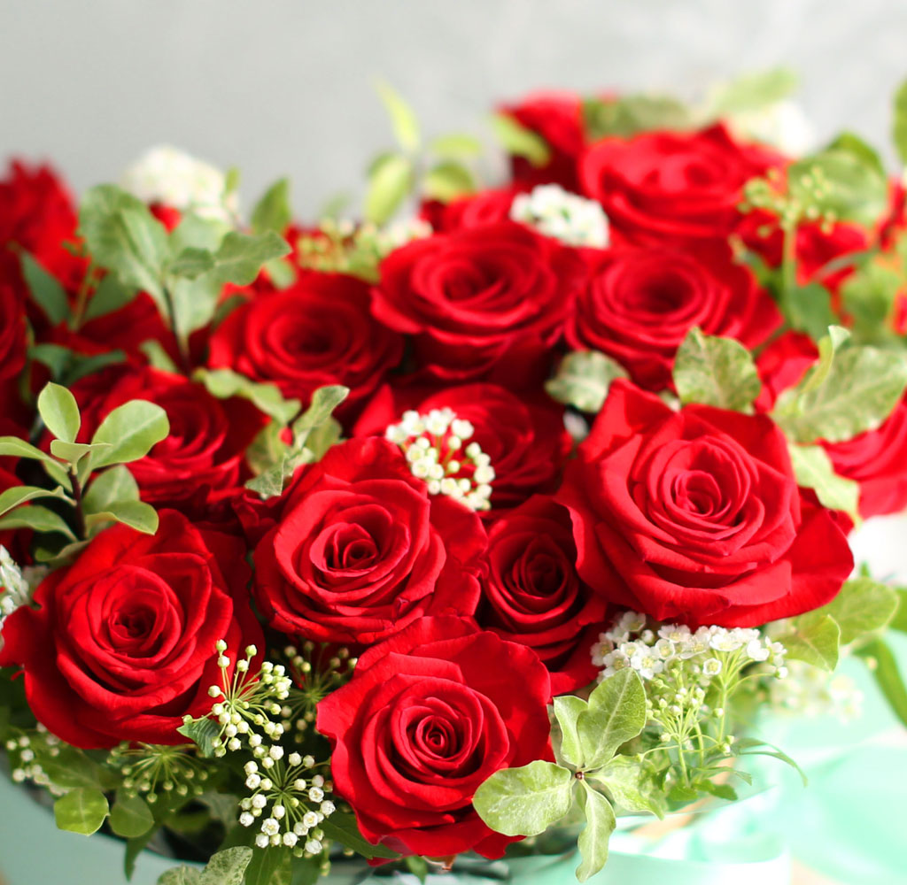 Roseday - ³» »ç¶ûÀ» ¹Þ¾ÆÁÖ¼¼¿ä