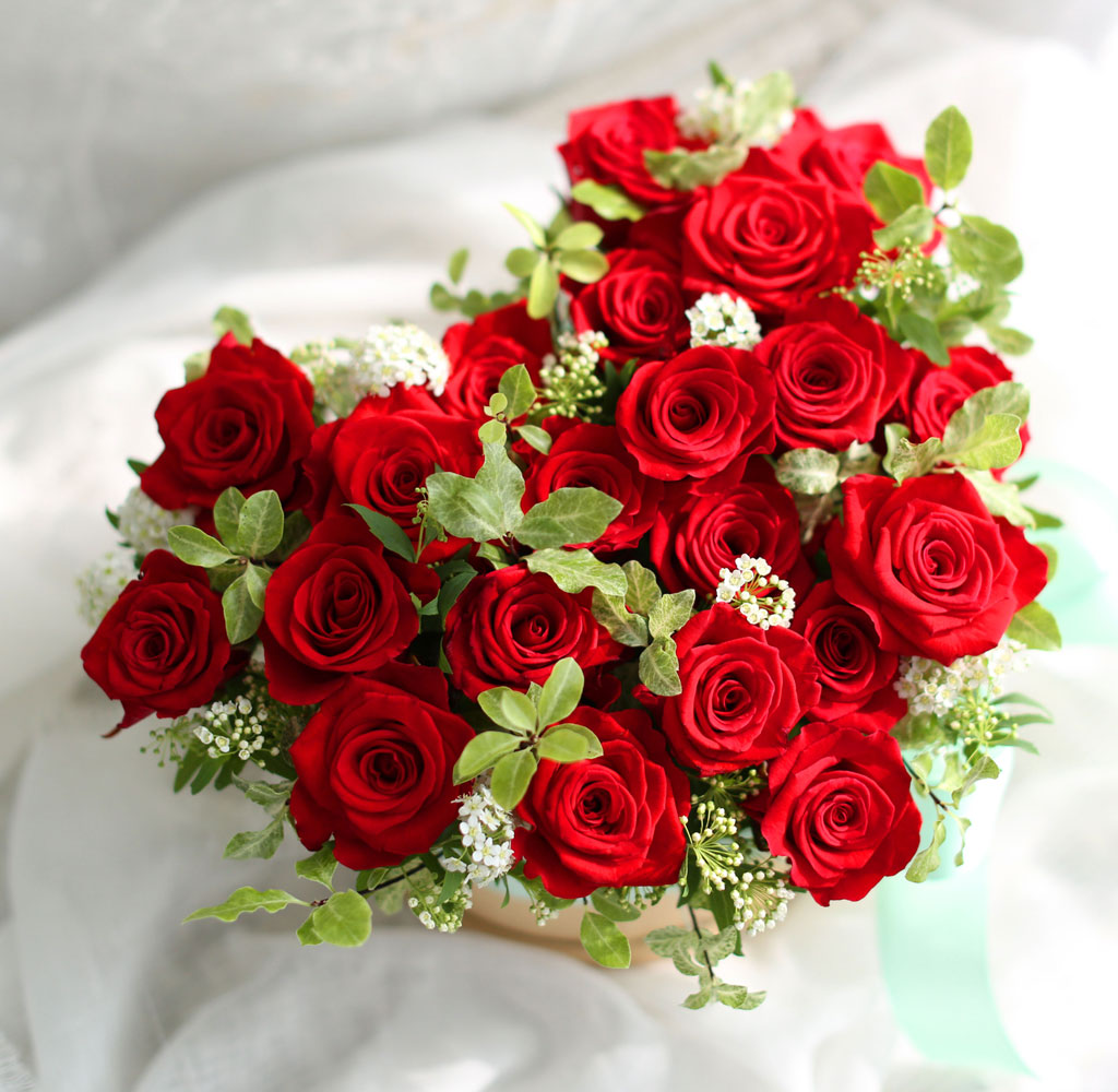 Roseday - ³» »ç¶ûÀ» ¹Þ¾ÆÁÖ¼¼¿ä