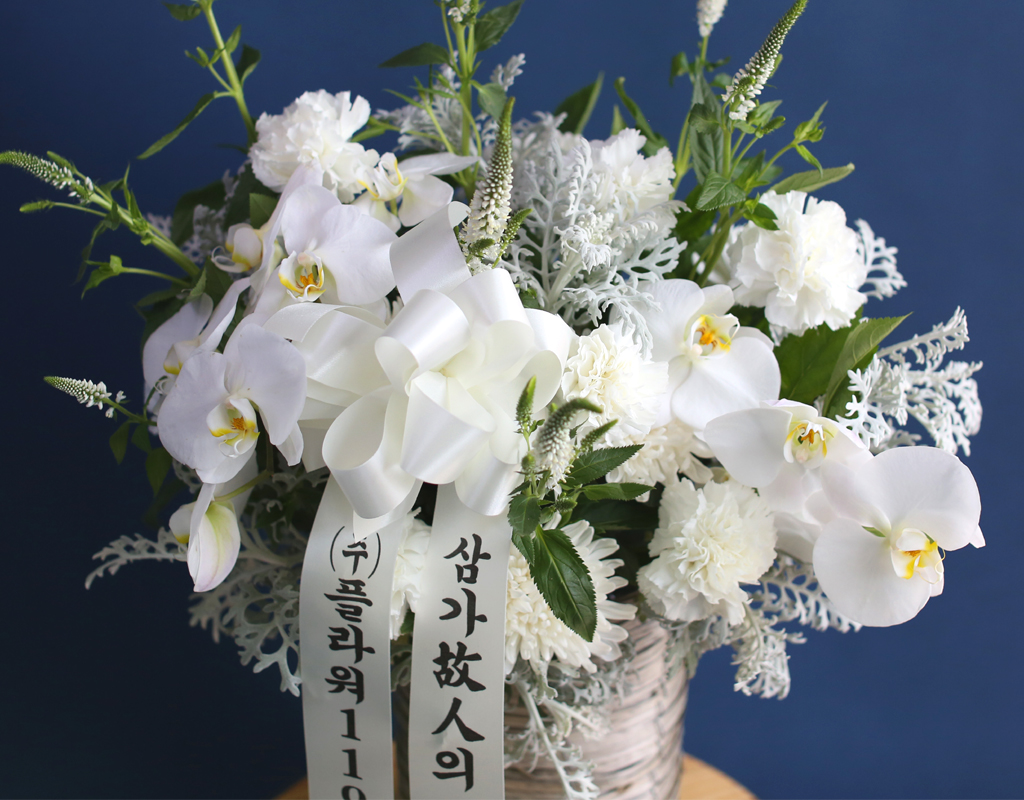 [ߵٱ]  ɹٱ () A  ɹ