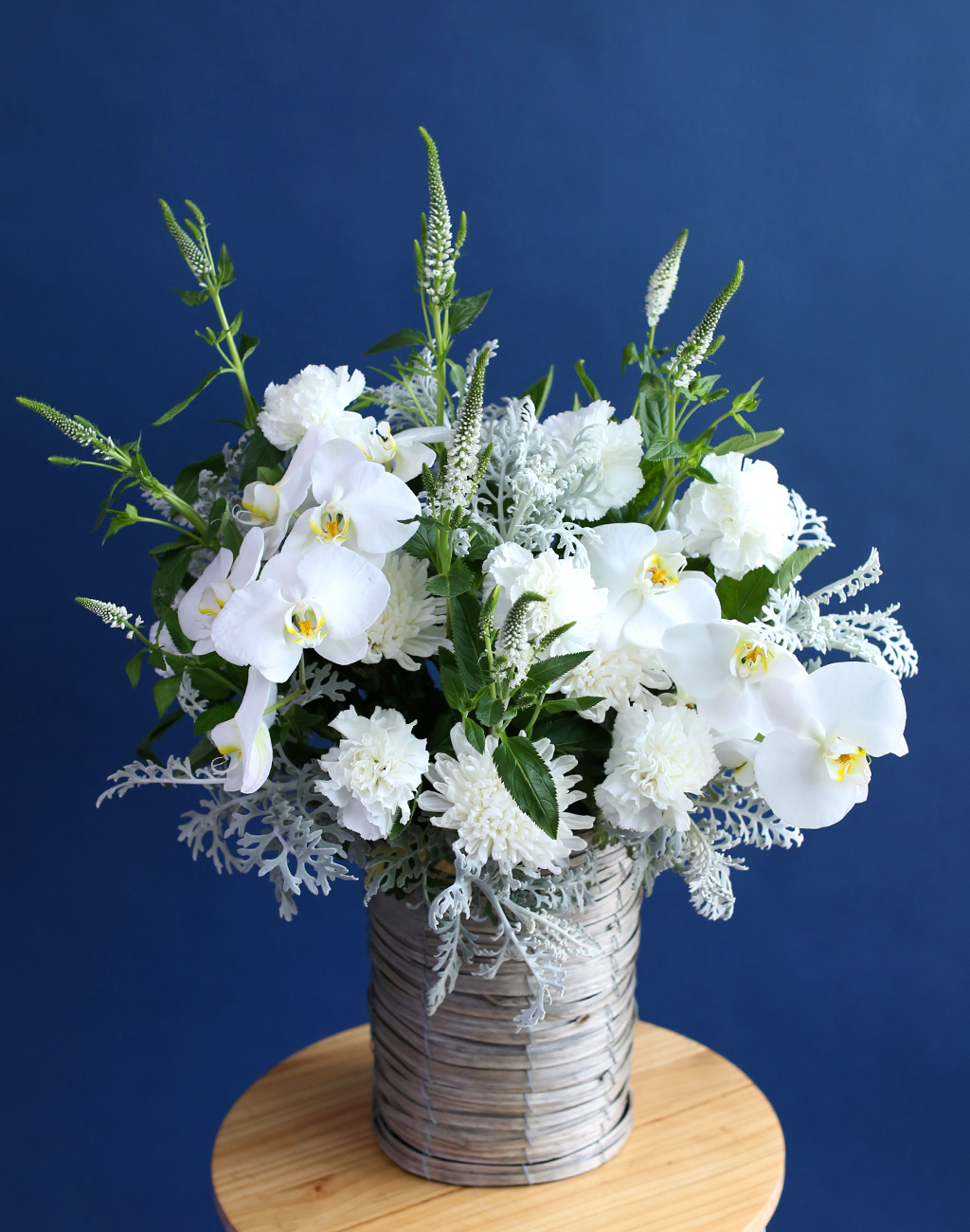 [ߵٱ]  ɹٱ () A  ɹ