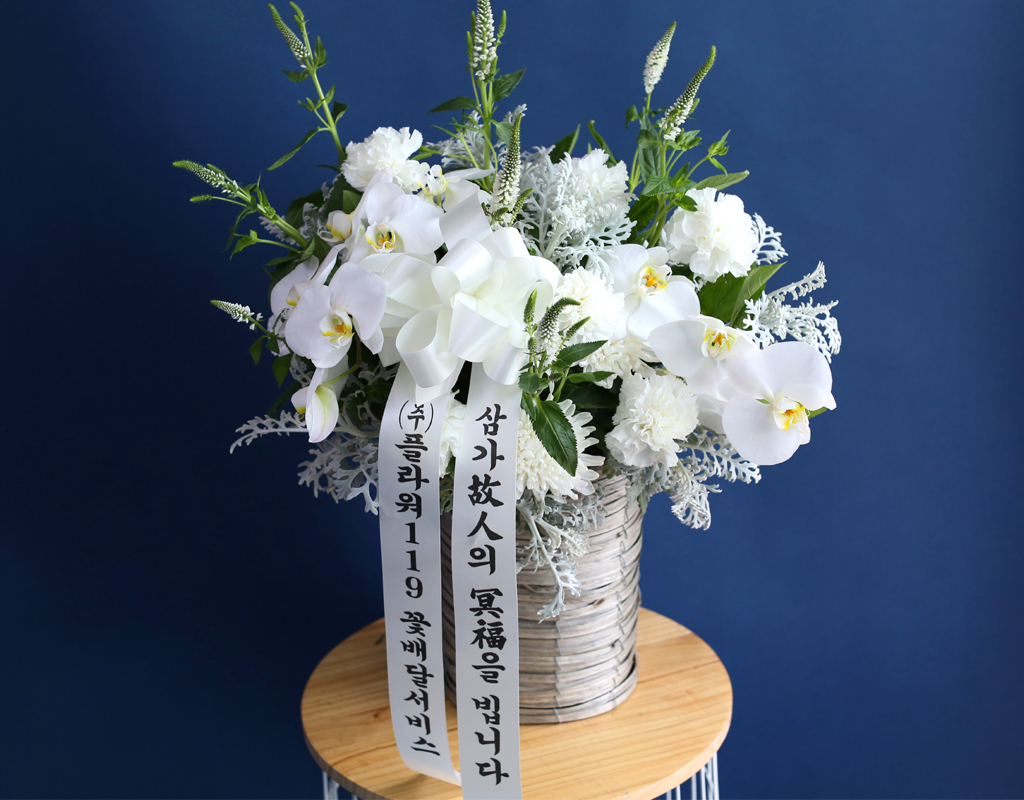 [ߵٱ]  ɹٱ () A  ɹ