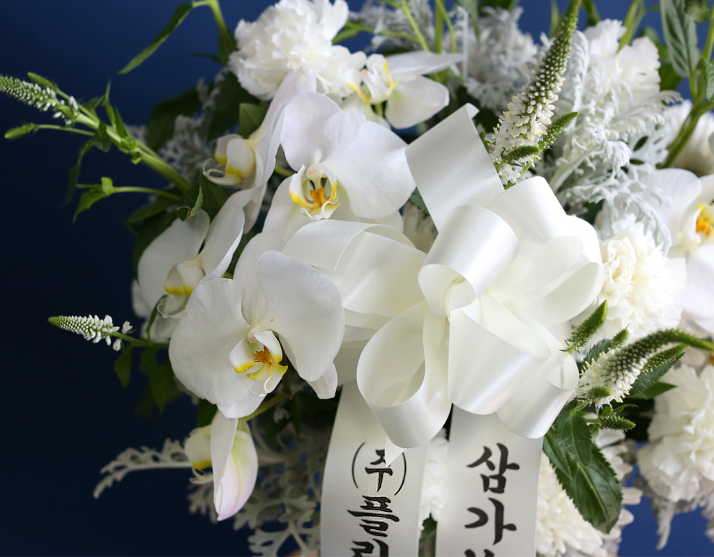 [ߵٱ]  ɹٱ () A  ɹ