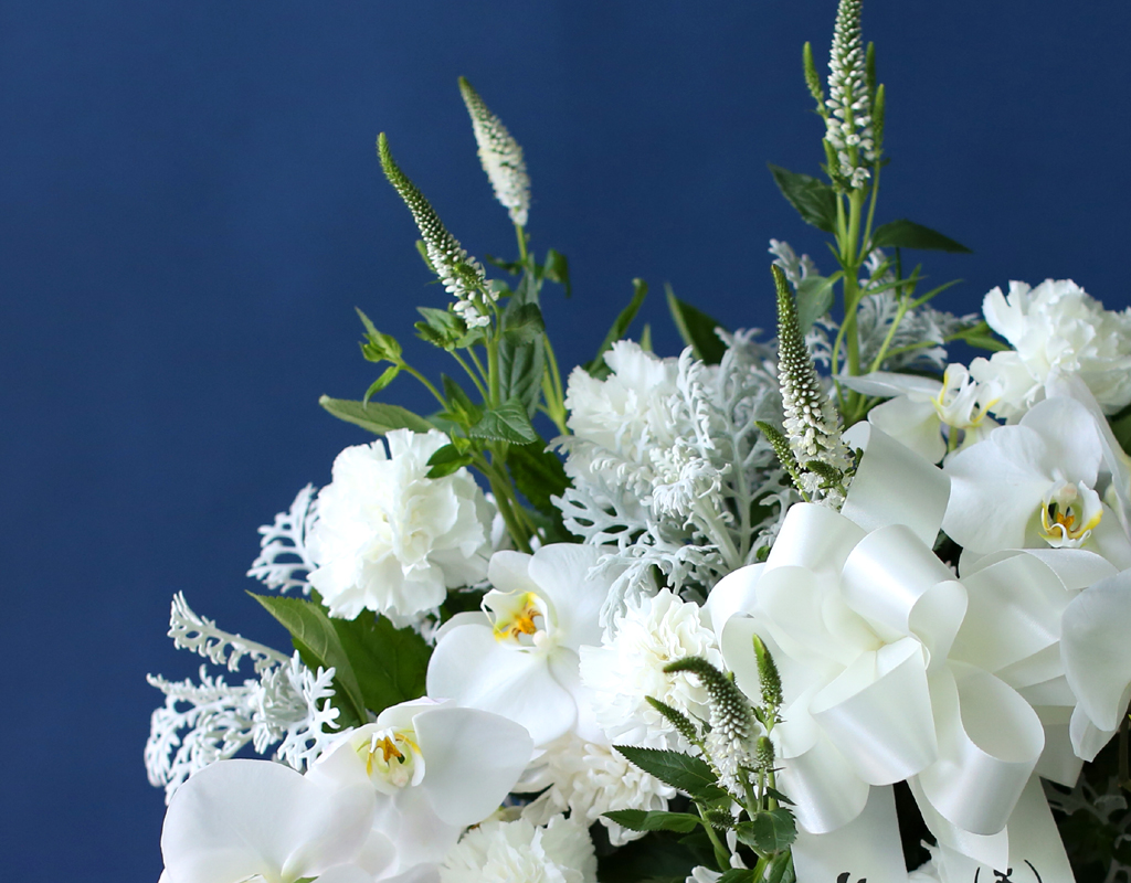 [ߵٱ]  ɹٱ () A  ɹ