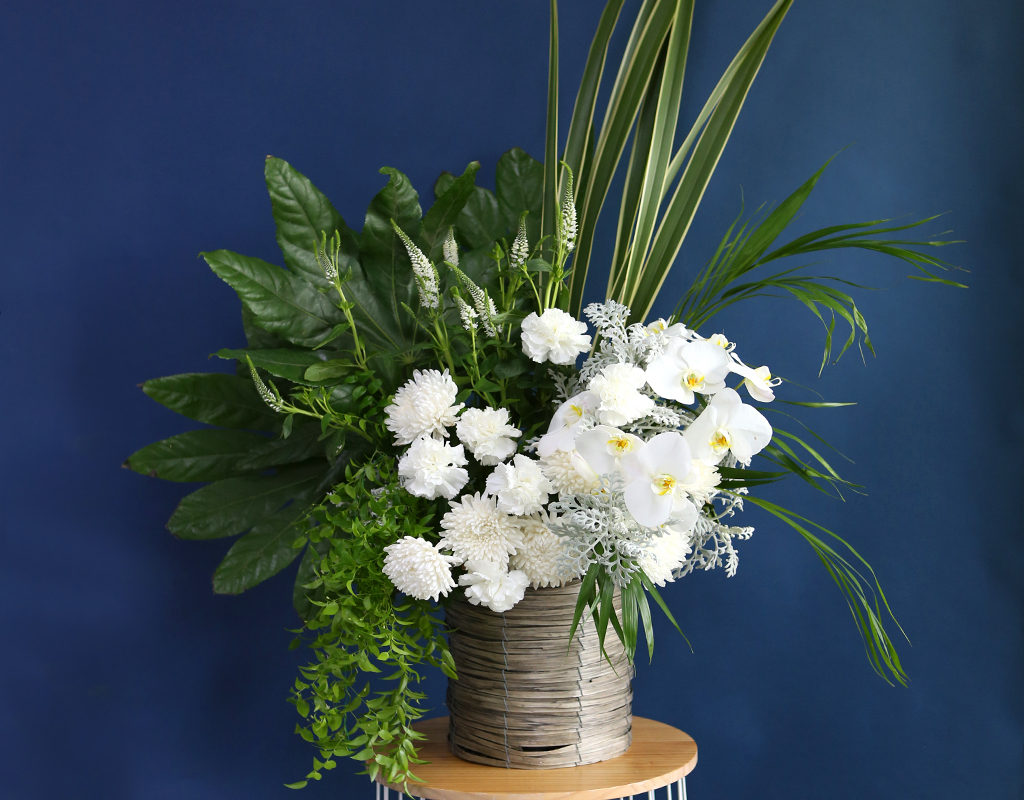 [ߵٱ]  ɹٱ () C  ɹ