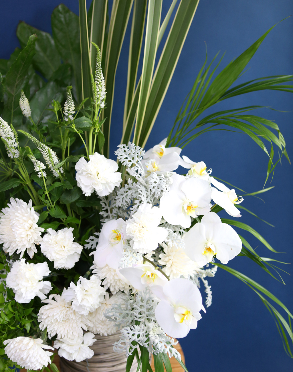 [ߵٱ]  ɹٱ () C  ɹ