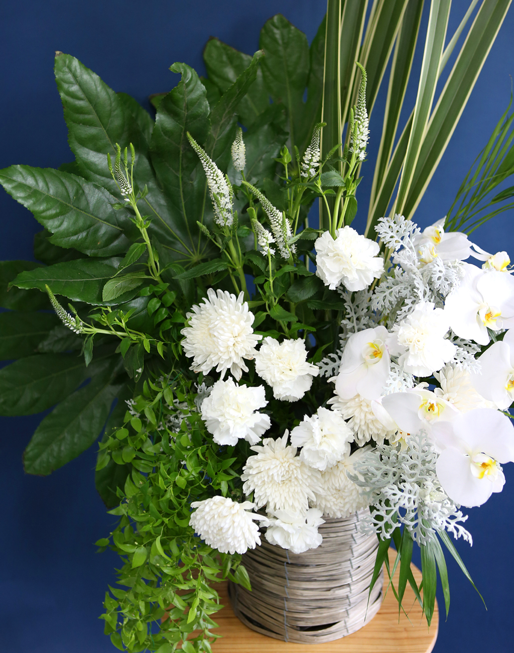 [ߵٱ]  ɹٱ () C  ɹ