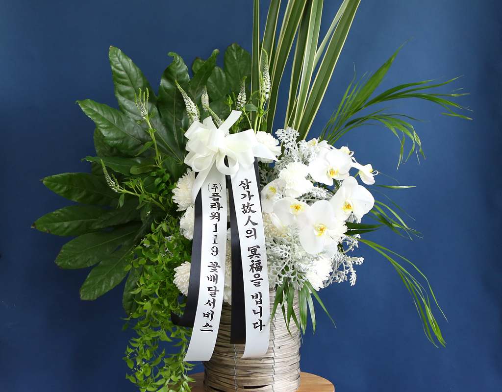 [ߵٱ]  ɹٱ () C  ɹ