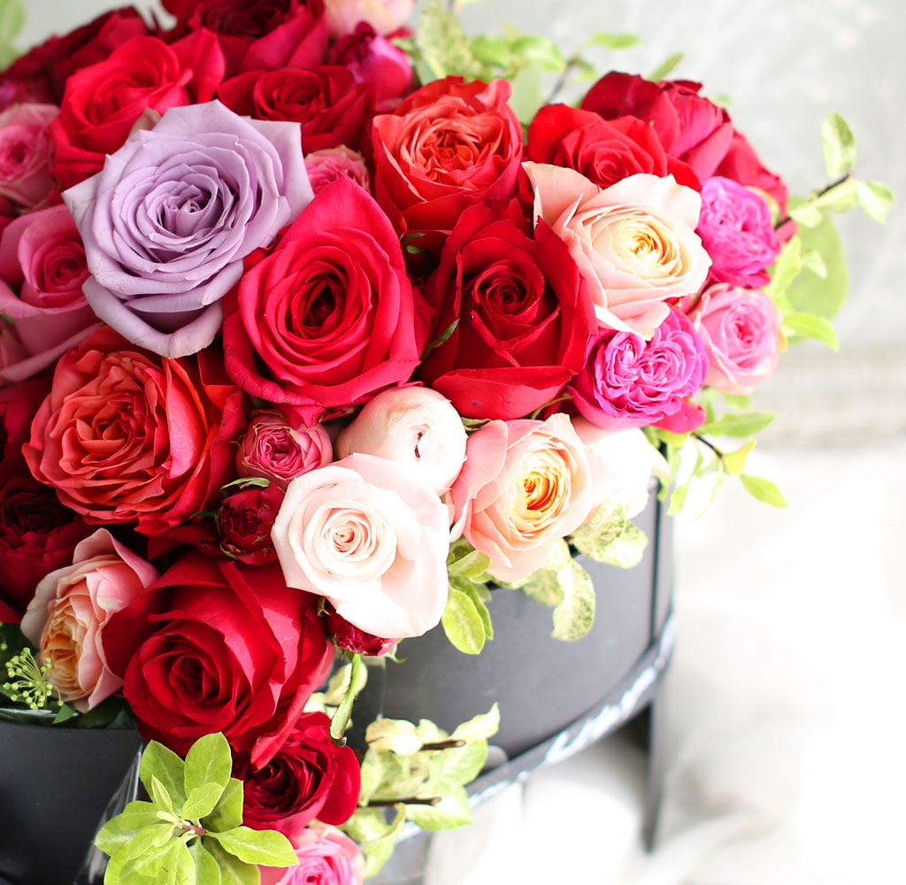 [,]  Roseday - L O V E  ɹ