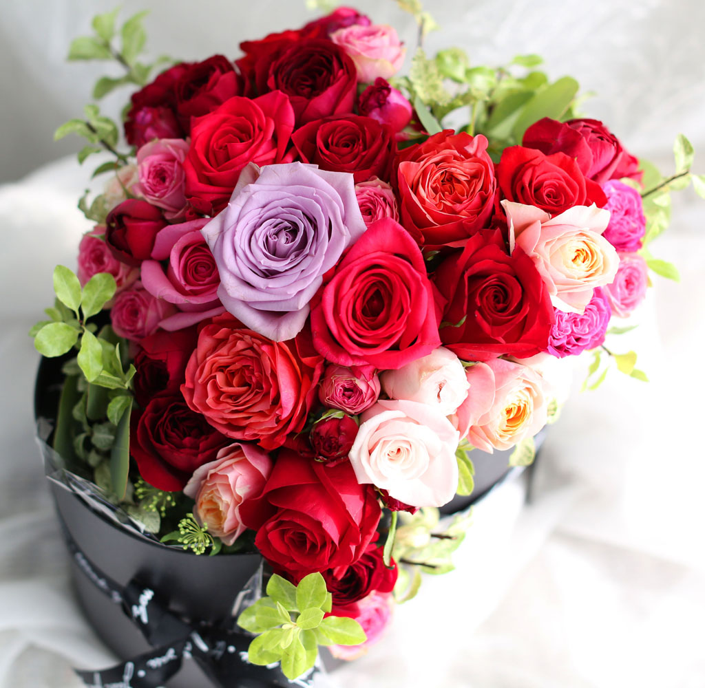 [,]  Roseday - L O V E  ɹ